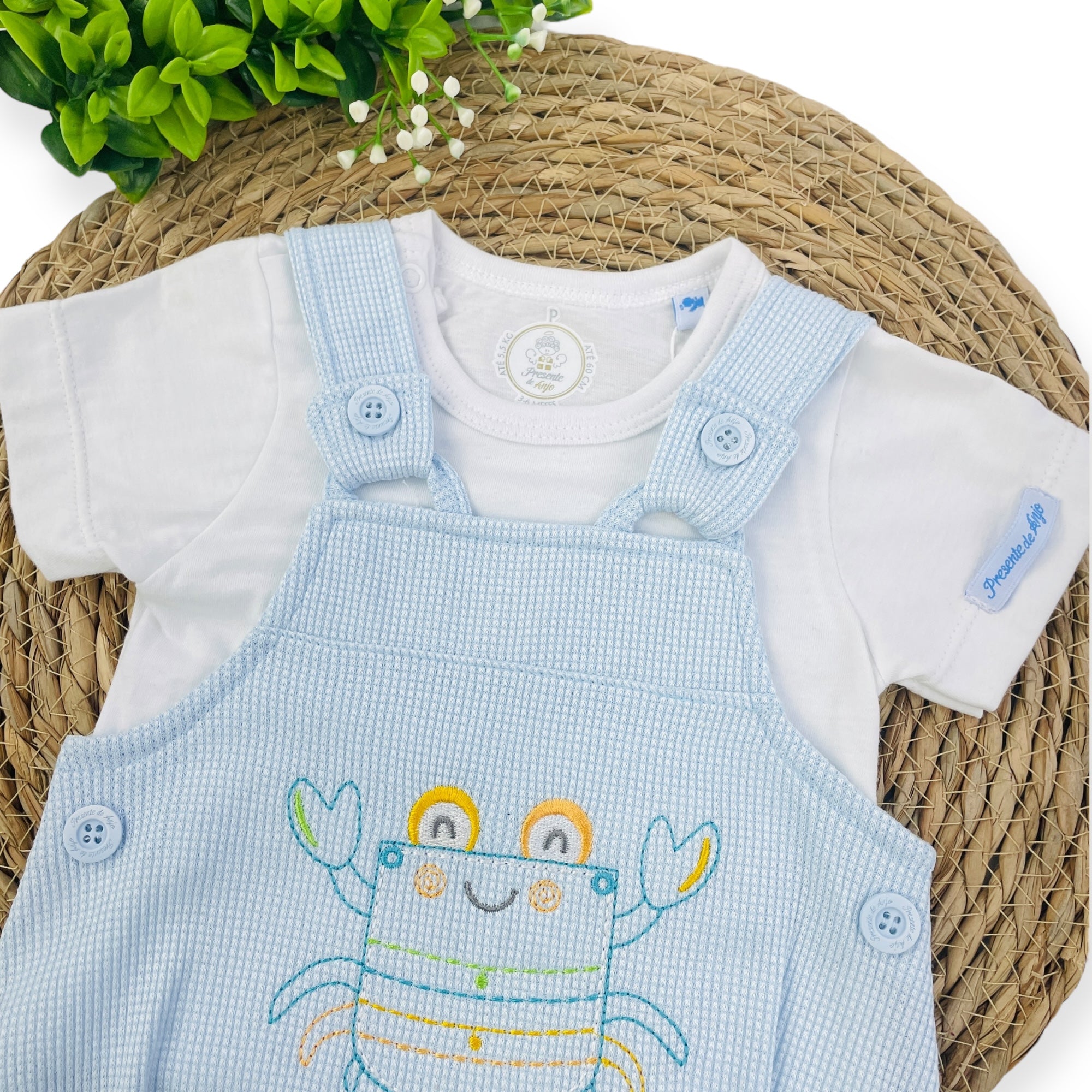 Conjunto Presente De Anjo Bebê Menino Romper Siri