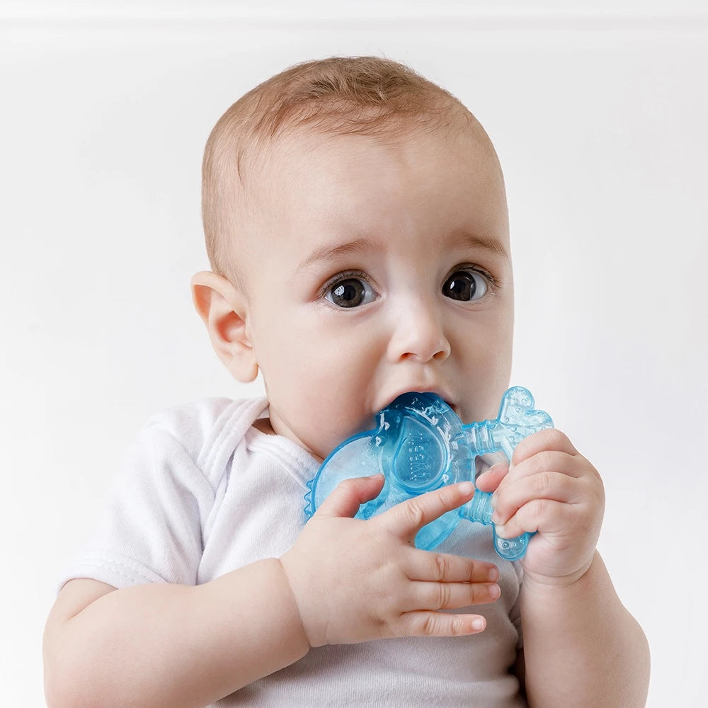 Mordedor Buba Com Agua +4 Meses