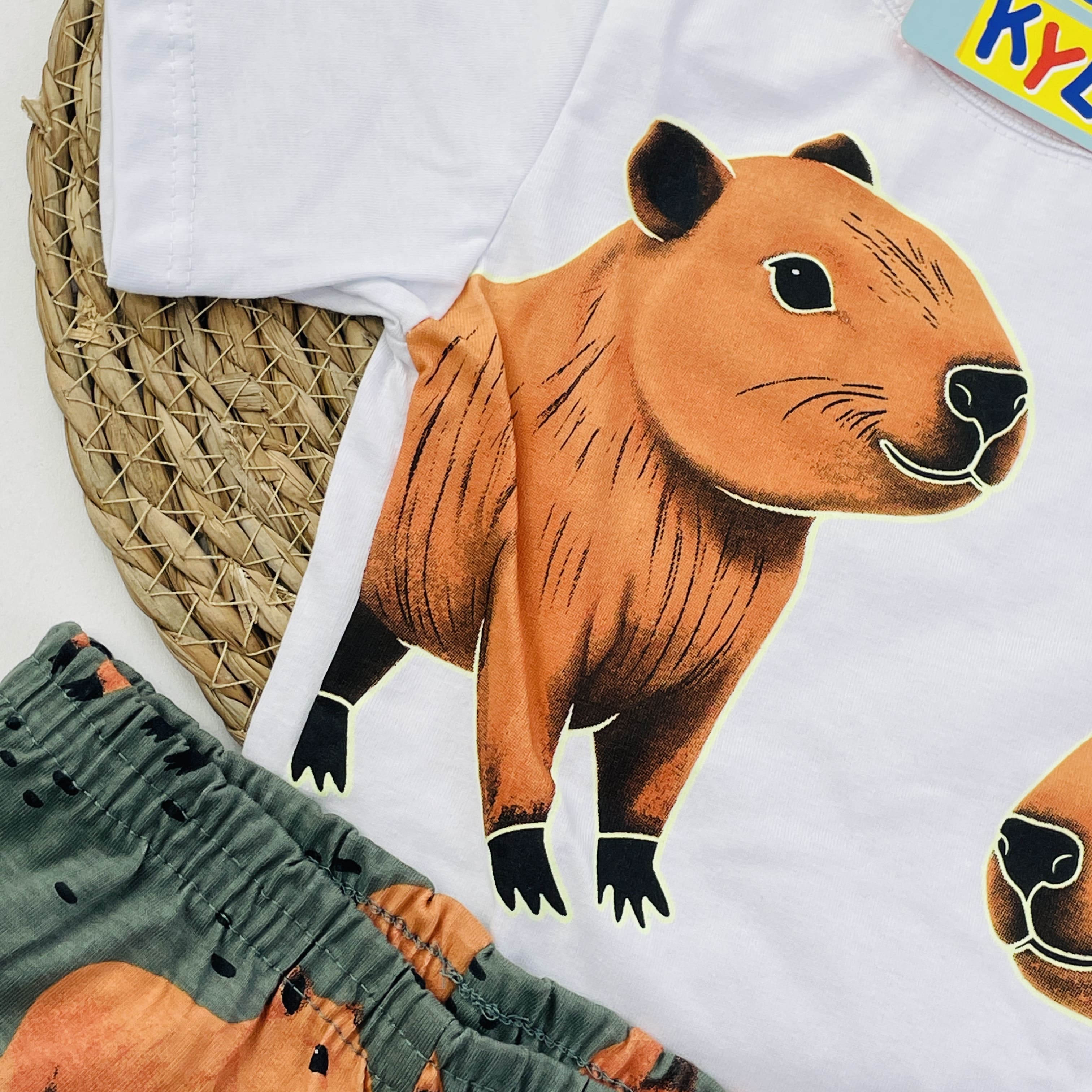 Pijama Kyly Infantil Menino Capivara Friends