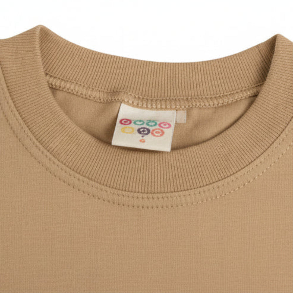 Conjunto Infantil Masculino Have Fun Capivara Camiseta e Bermuda Eco