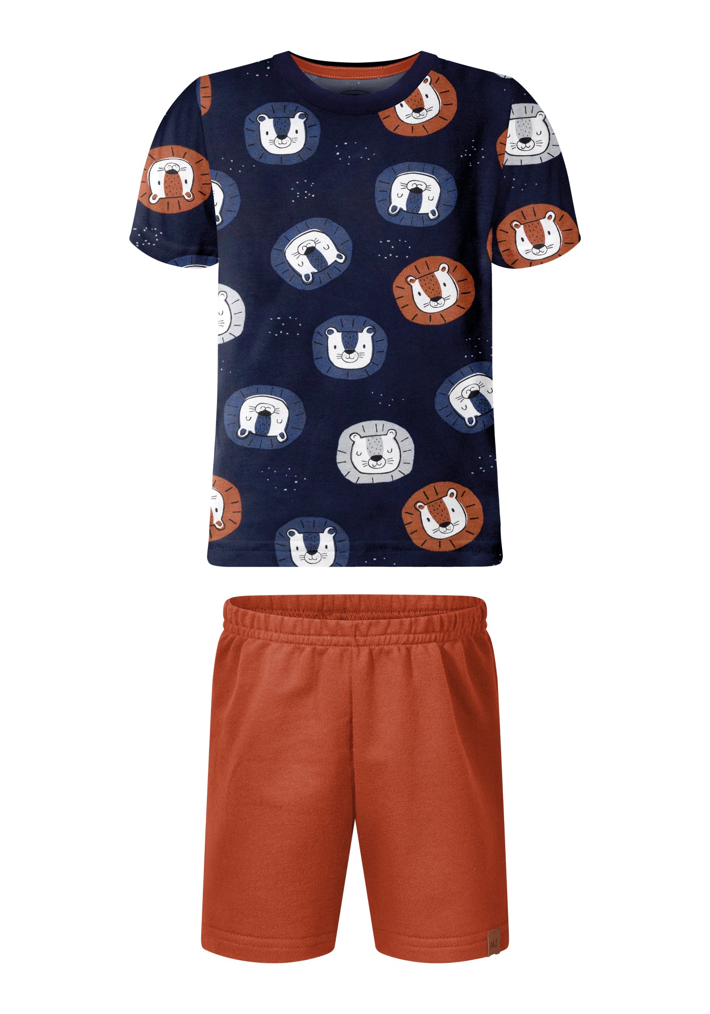 Conjunto Alakazoo Leão