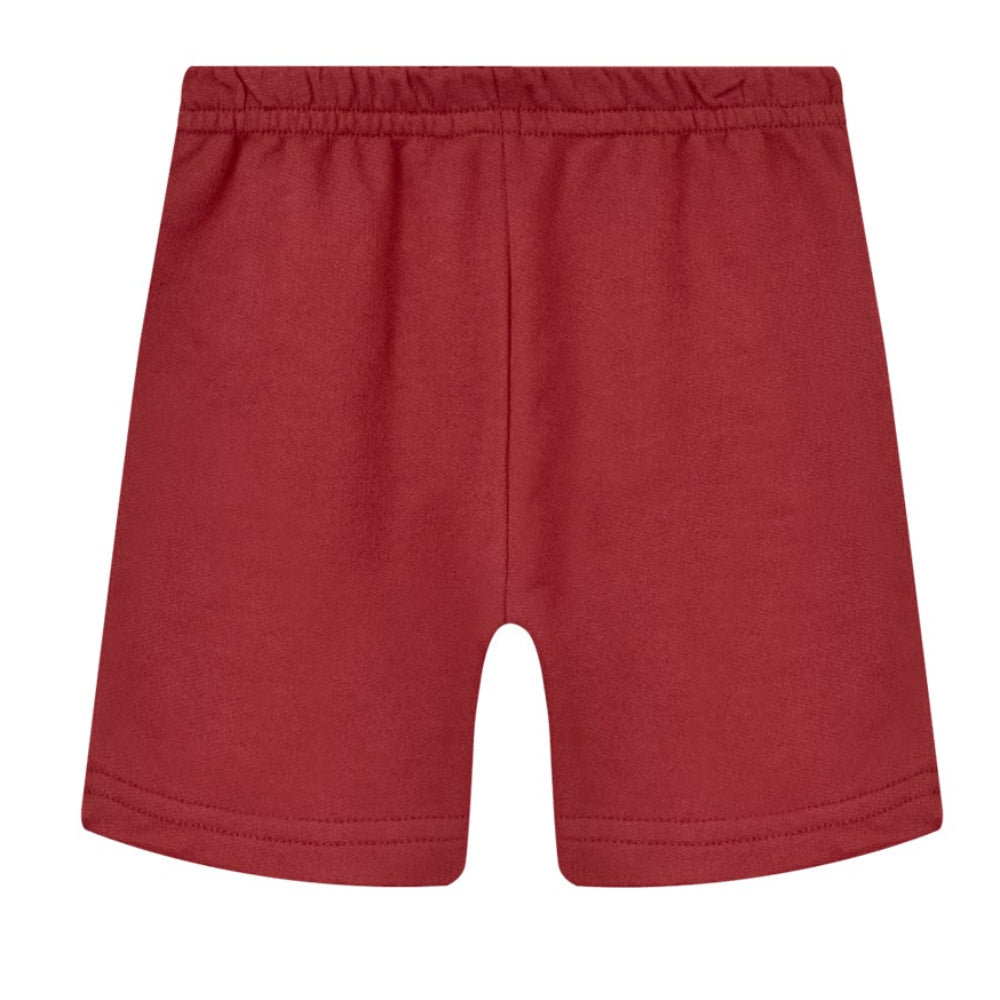 Conjunto Infantil Masculino Alakazoo Dinossauros Dino Team Casual