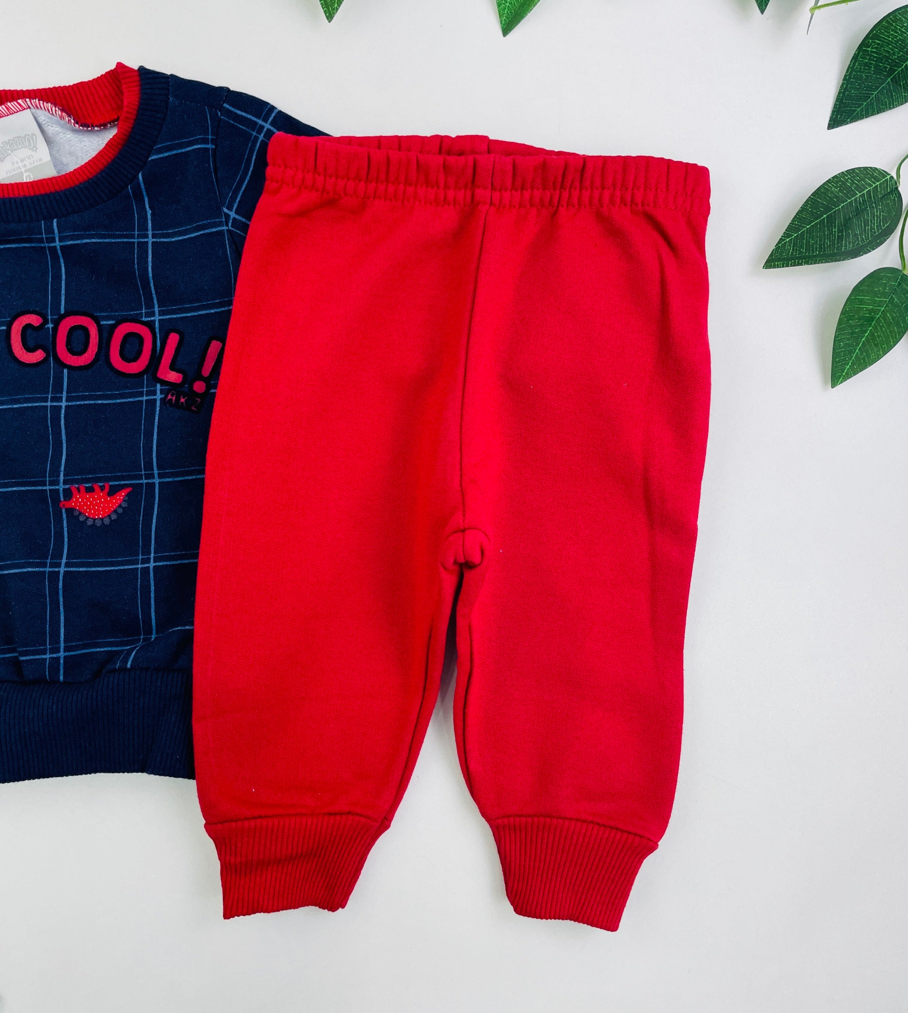 Conjunto Alakazoo Just Cool Dino
