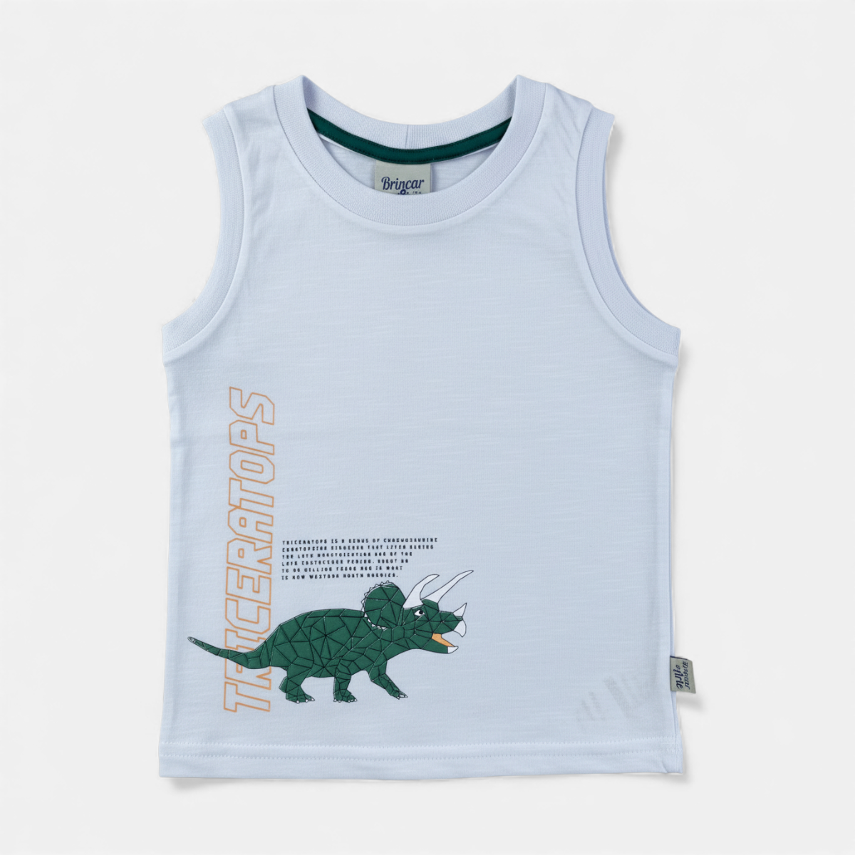 Conjunto Infantil Masculino Brincar e Arte Triceratop