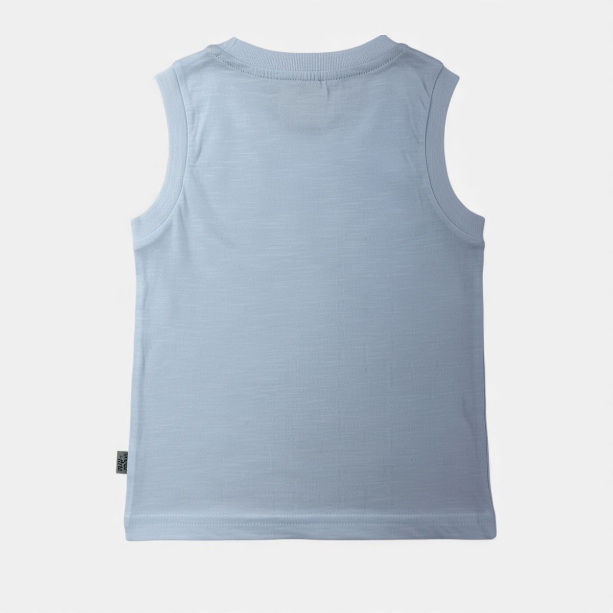 Conjunto Infantil Masculino Brincar e Arte Triceratop