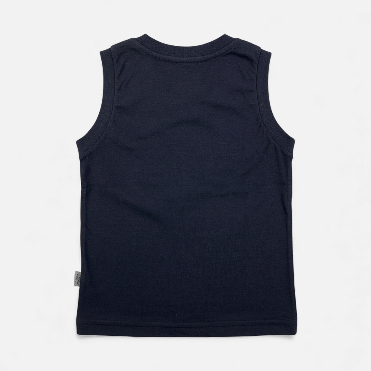 Conjunto Infantil Masculino Brincar e Arte Triceratop