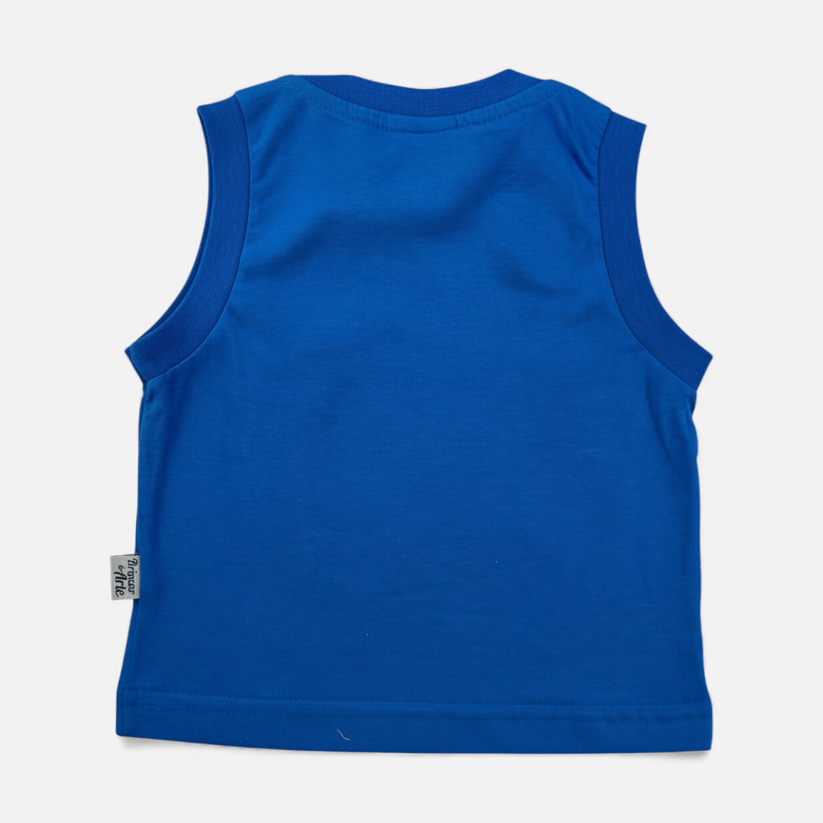 Manchão Brincar e Arte Dino Friends