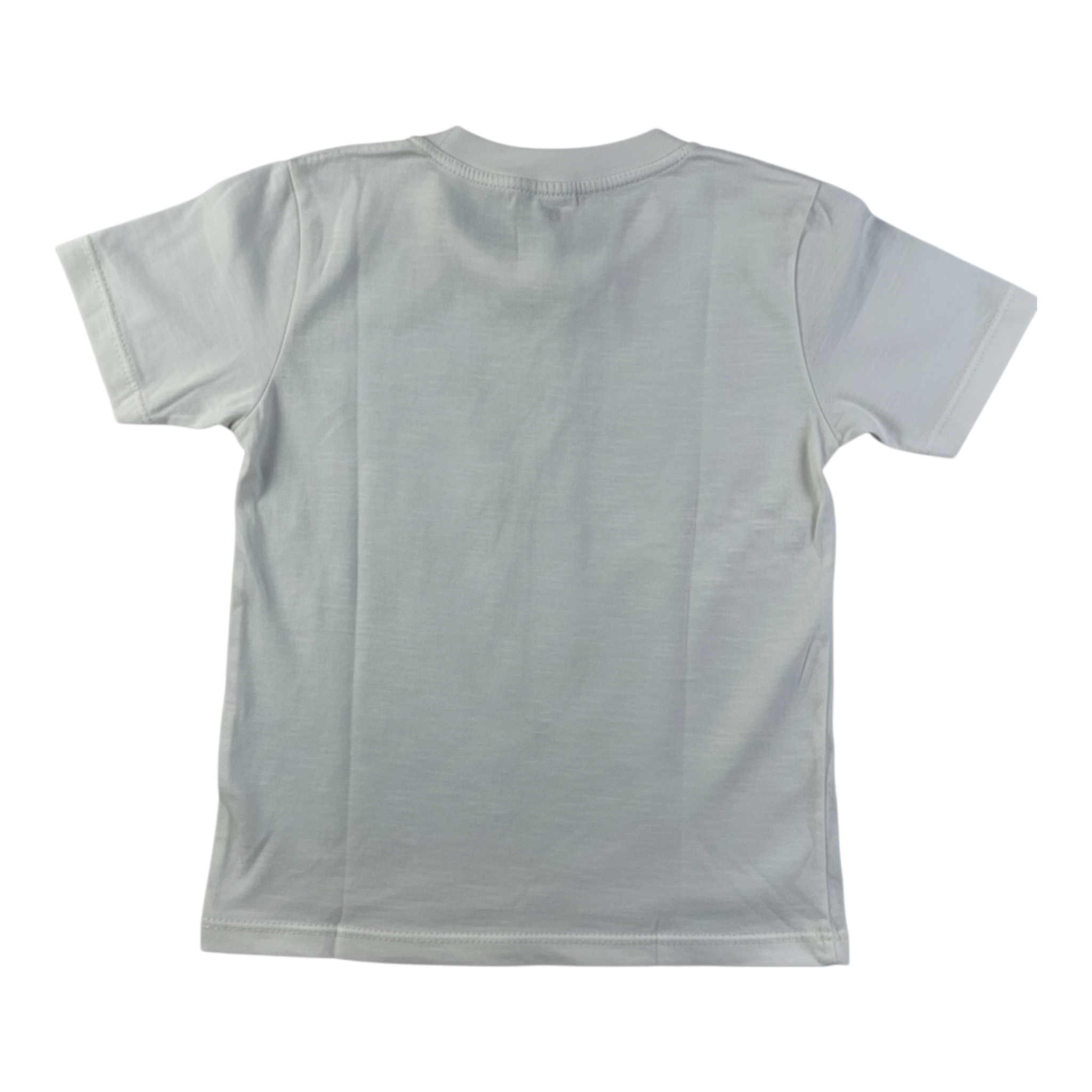 Conjunto Infantil Masculino Have Fun Tartaruga Sea You Later!