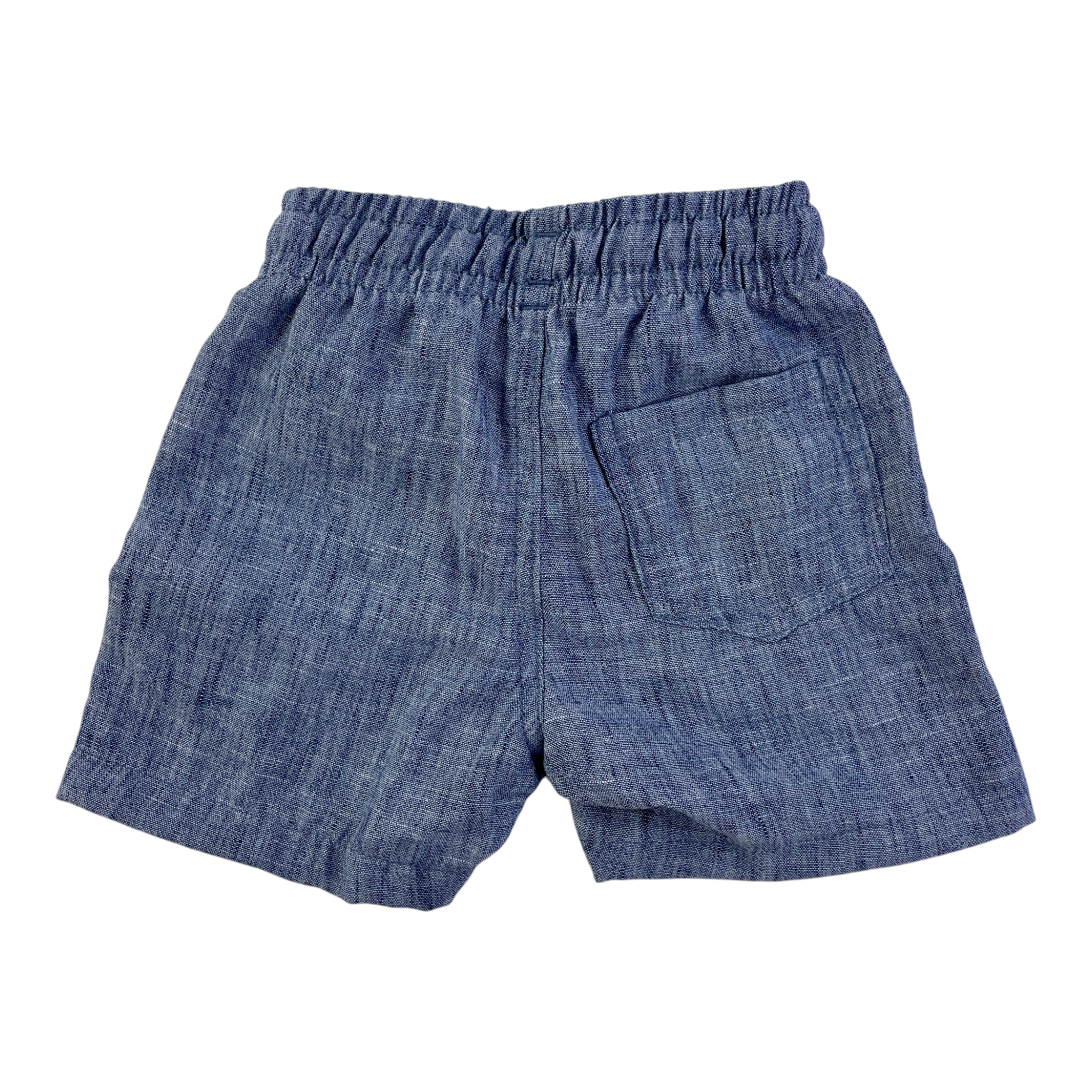 Conjunto Infantil Masculino Have Fun Tartaruga Sea You Later!