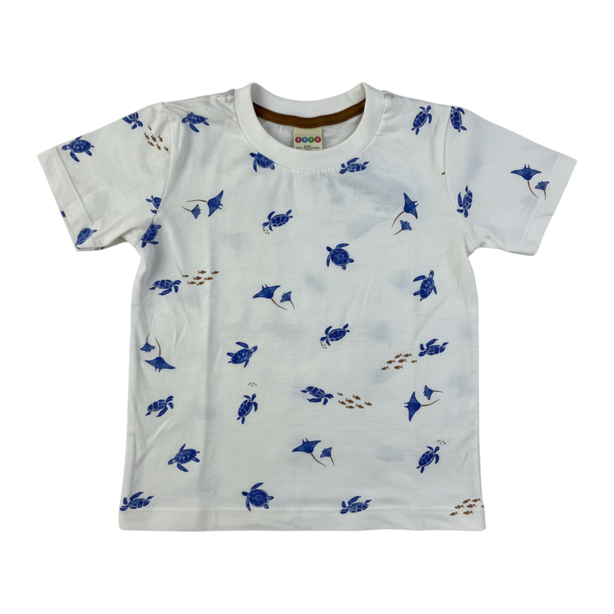 Conjunto Masculino Infantil Have Fun Tartarugas e Arraias
