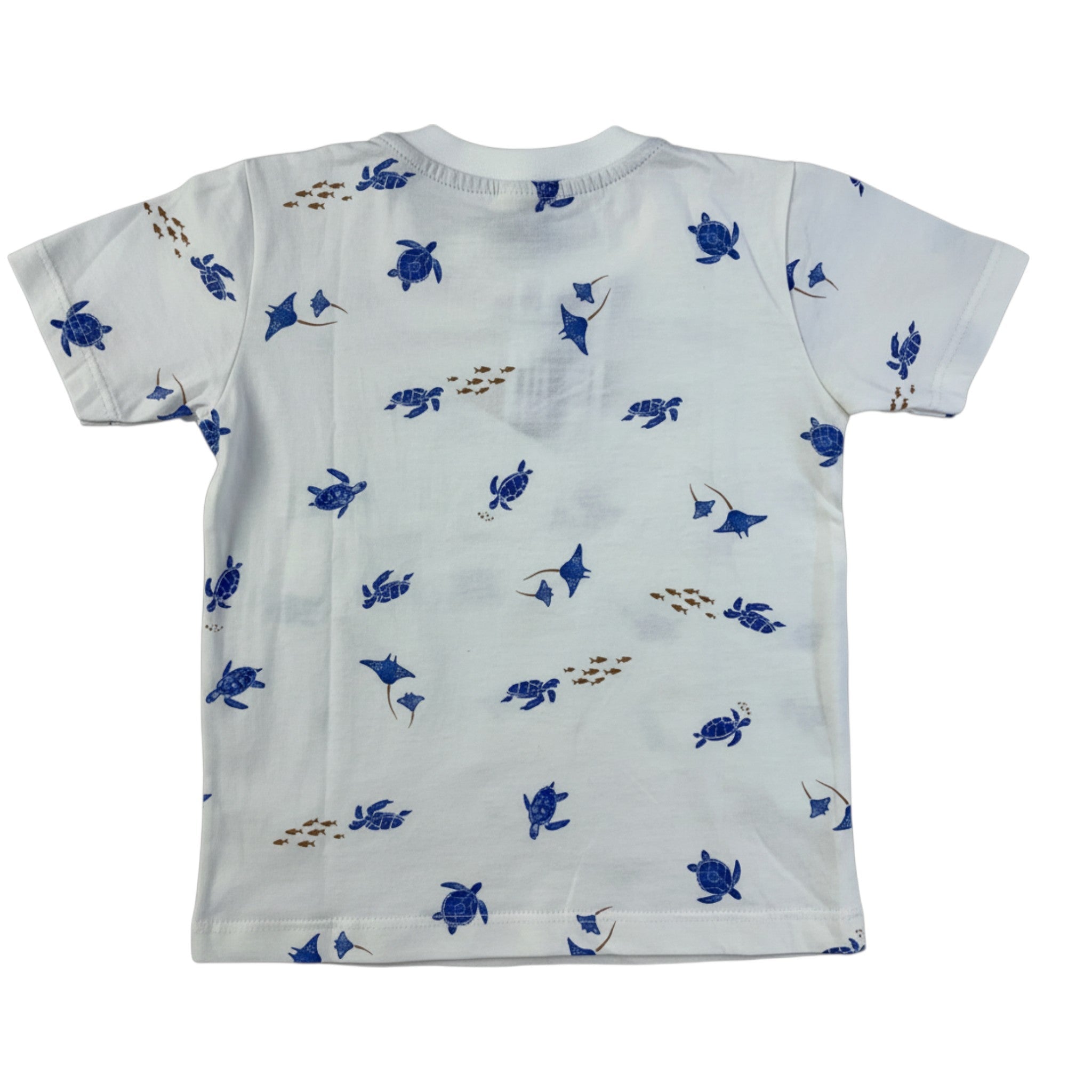 Conjunto Masculino Infantil Have Fun Tartarugas e Arraias