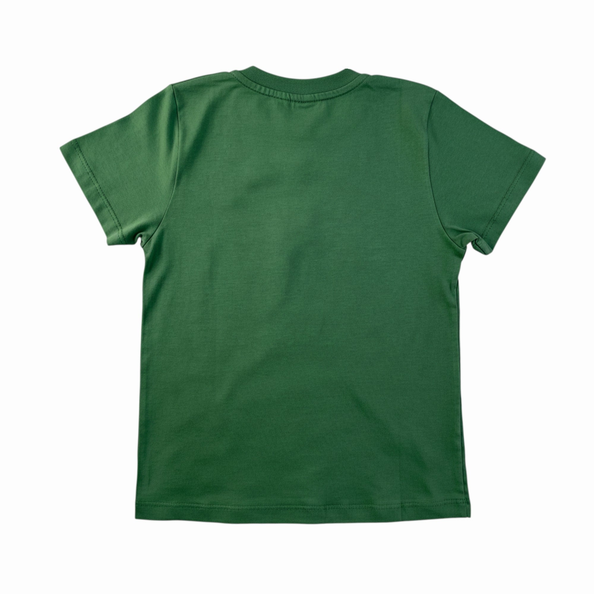Conjunto Masculino Infantil Have Fun Tyrannosaurus Rex