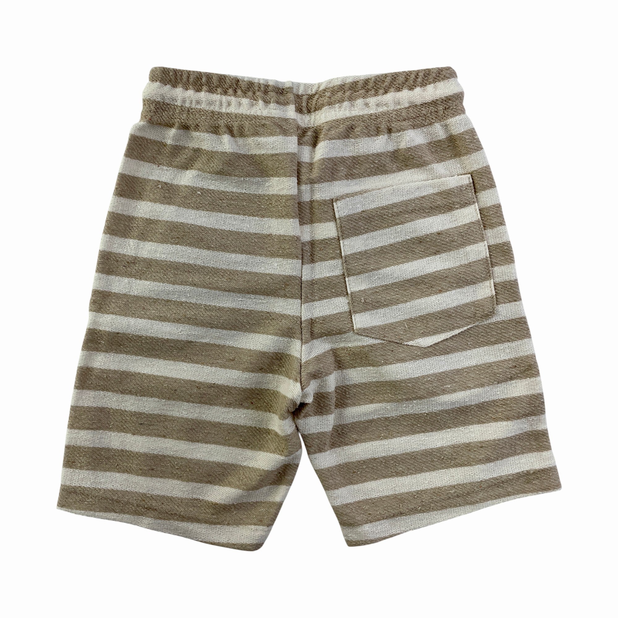 Conjunto Masculino Infantil Have Fun Tyrannosaurus Rex