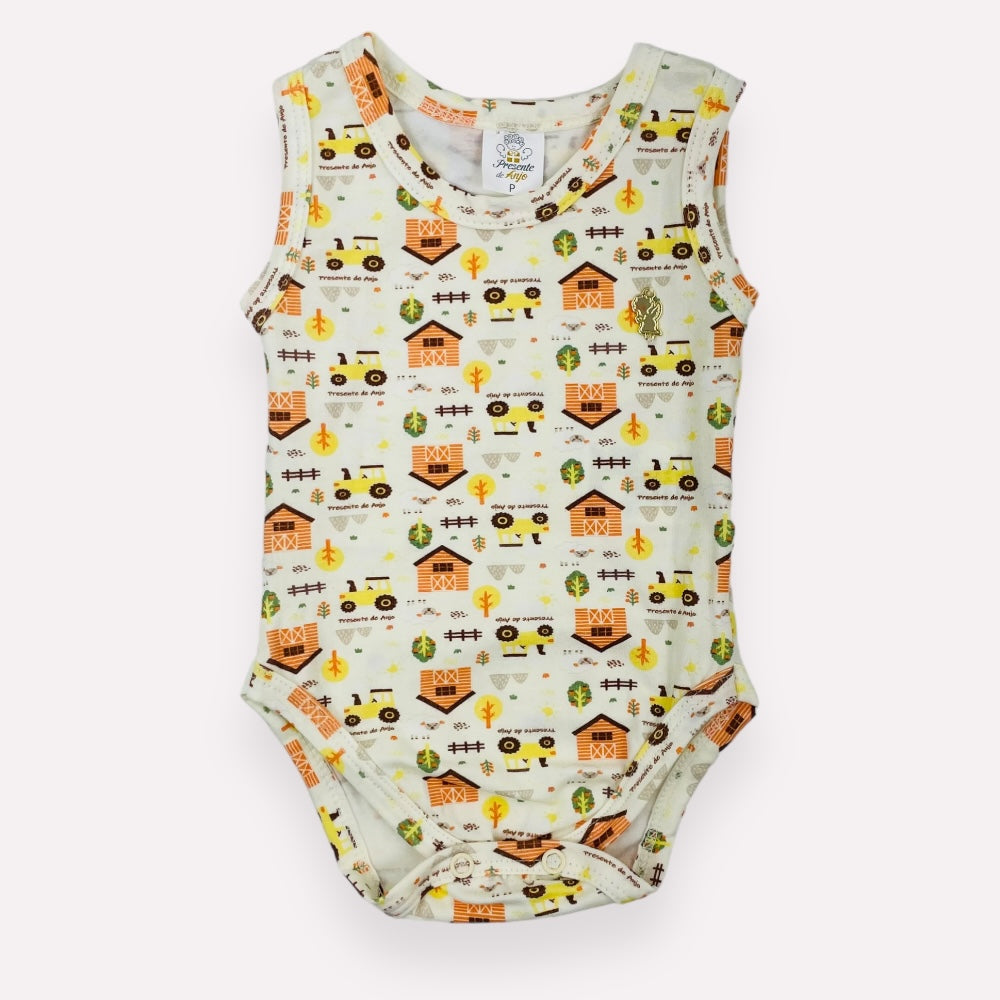 Conjunto Presente De Anjo Celeiro