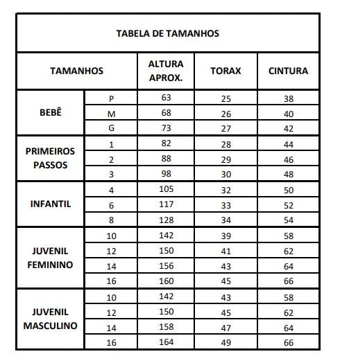 Conjunto Infantil Feminino Hrradinhos Borboleta Conforto e Estilo Verão