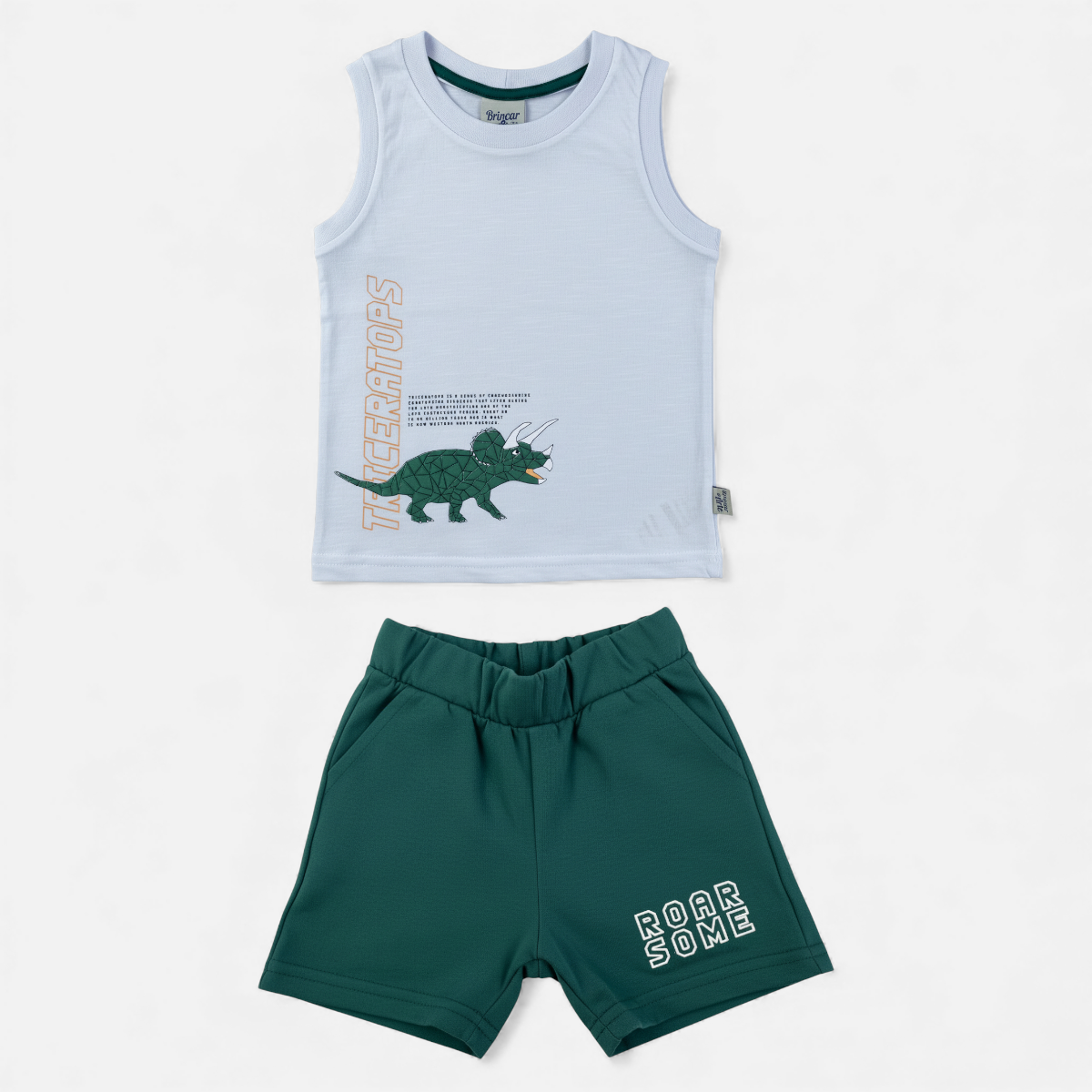 Conjunto Infantil Masculino Brincar e Arte Triceratop