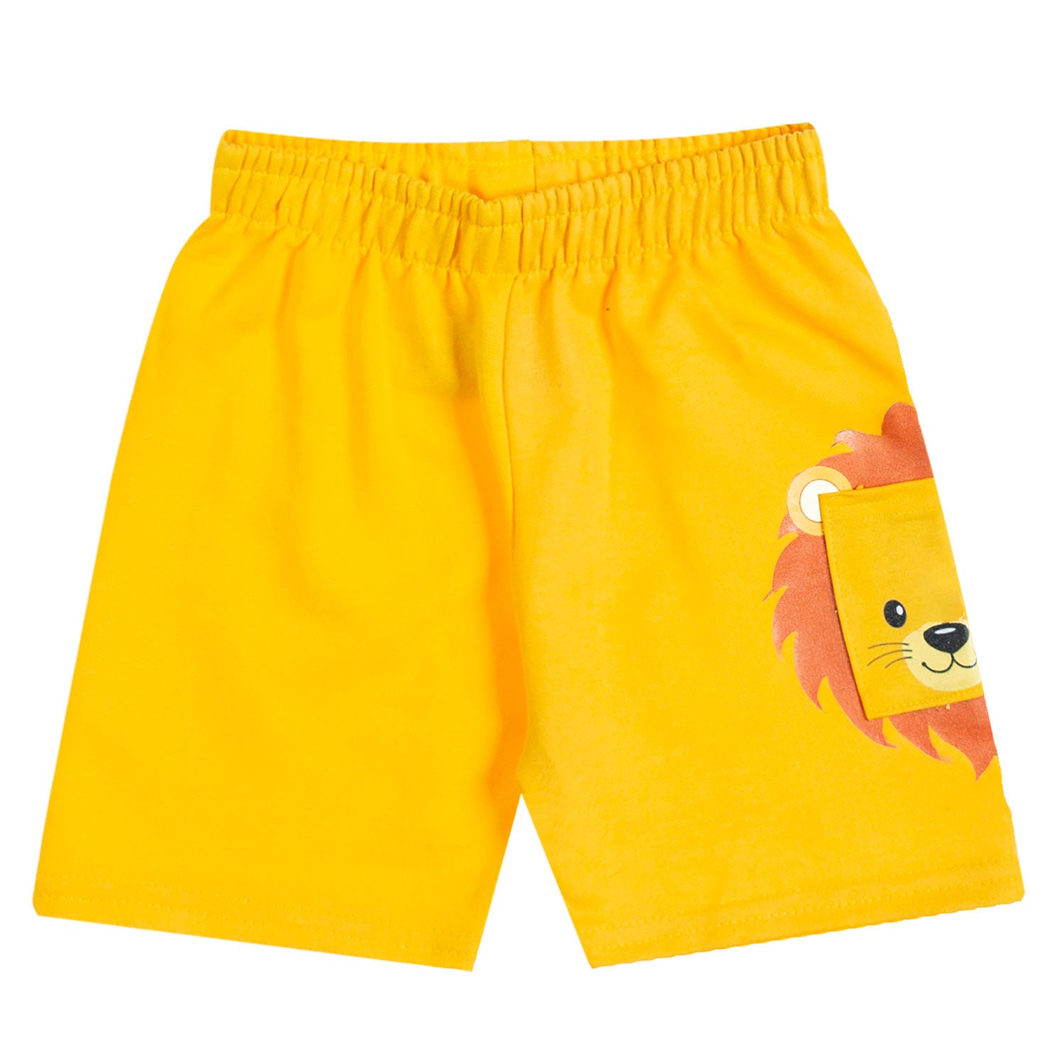 Conjunto Kyly Infantil Leão Grrrr