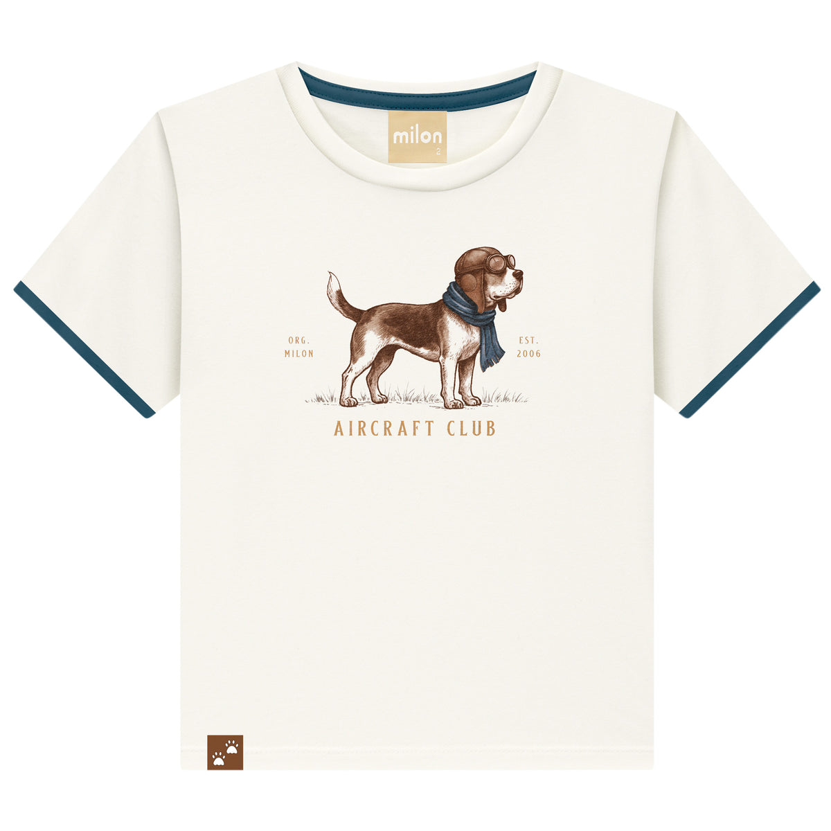 Conjunto Masculino Milon Bebê Aircraft Club Camiseta e Short
