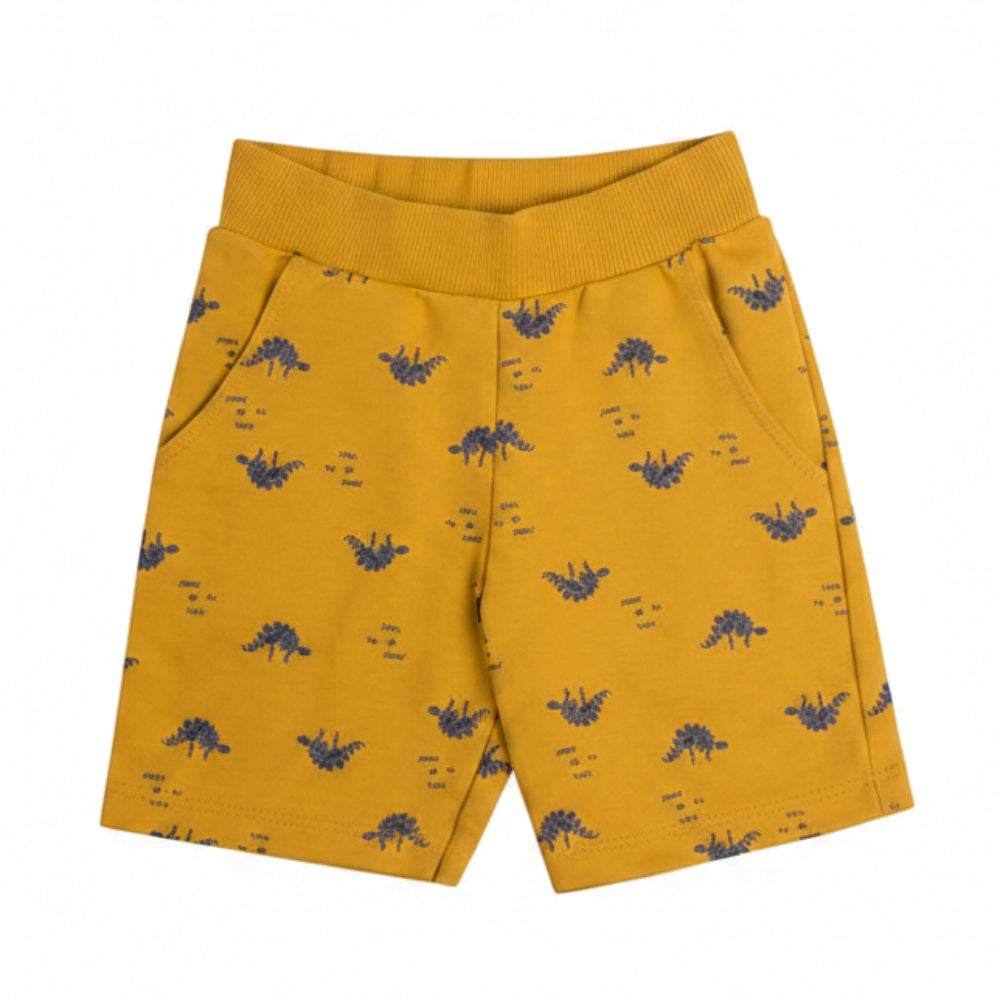 Conjunto Infantil Masculino Have Fun Cool Dino Camiseta e Bermuda Moletom Estampada