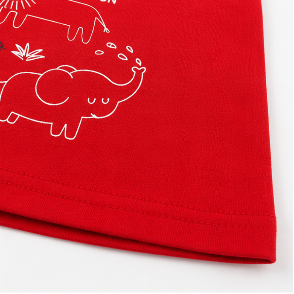 Conjunto Bebê Masculino Kamylus Hello Tiny Lion Regata e Shorts