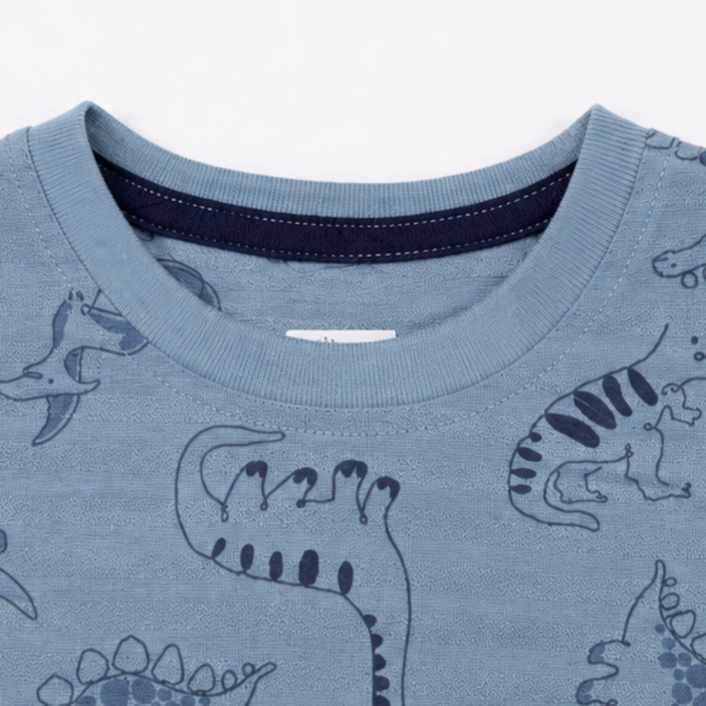 Conjunto Infantil Masculino Alakazoo Dinossauros Dino Team Casual