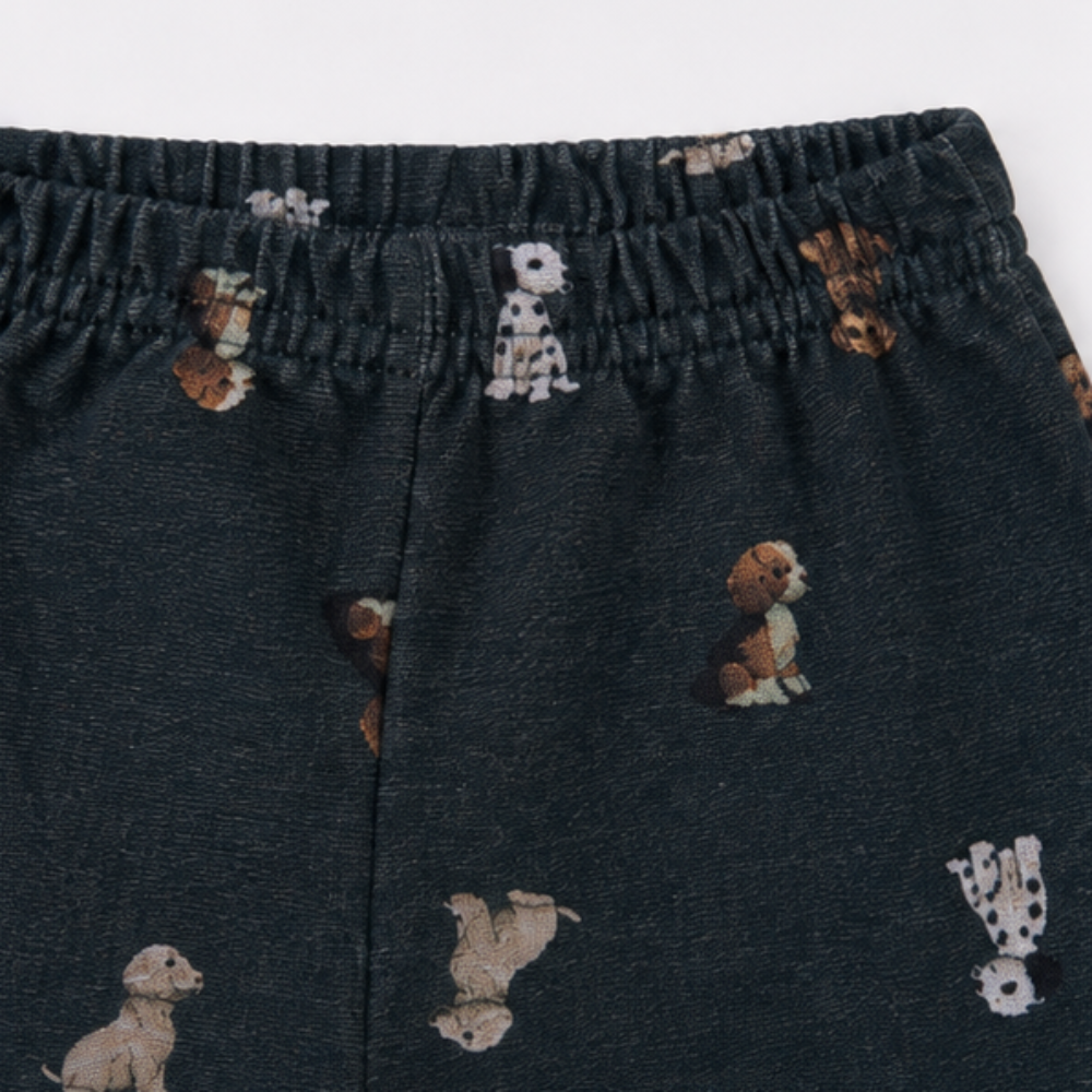 Conjunto Infantil Masculino Alakazoo Cachorrinho Fun Time