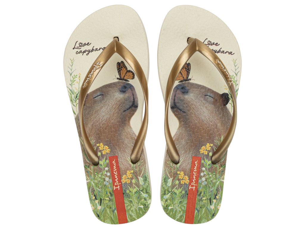 Chinelo Infantil Ipanema My Pets Capivara Conforto Chaveiro Tendência