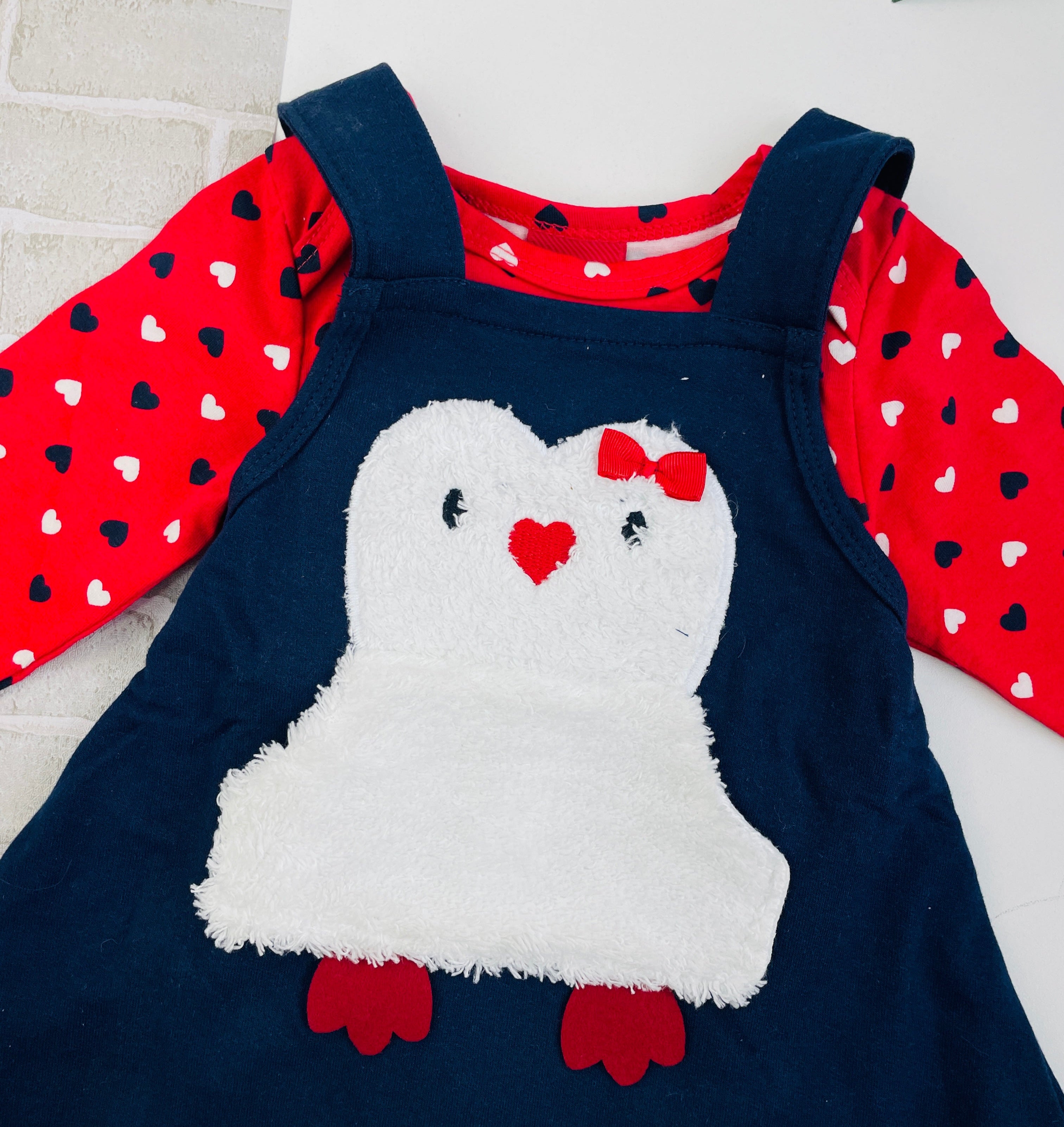 Conjunto Feminino Kyly Pinguim