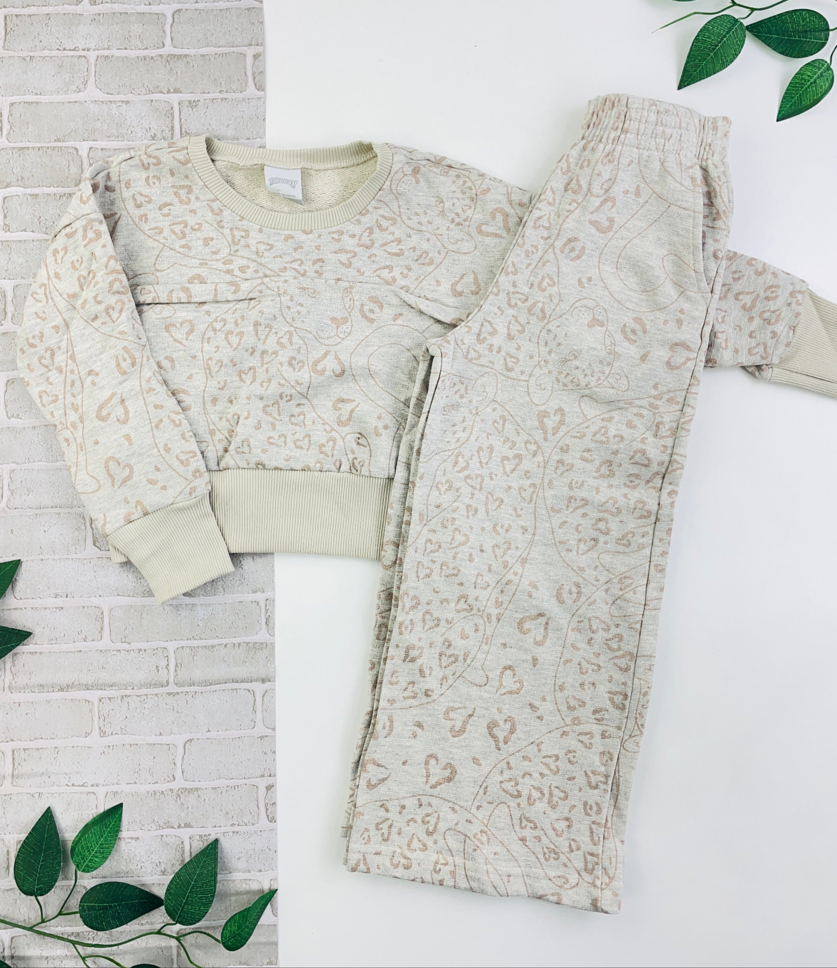Conjunto Alakazoo Onça Shine