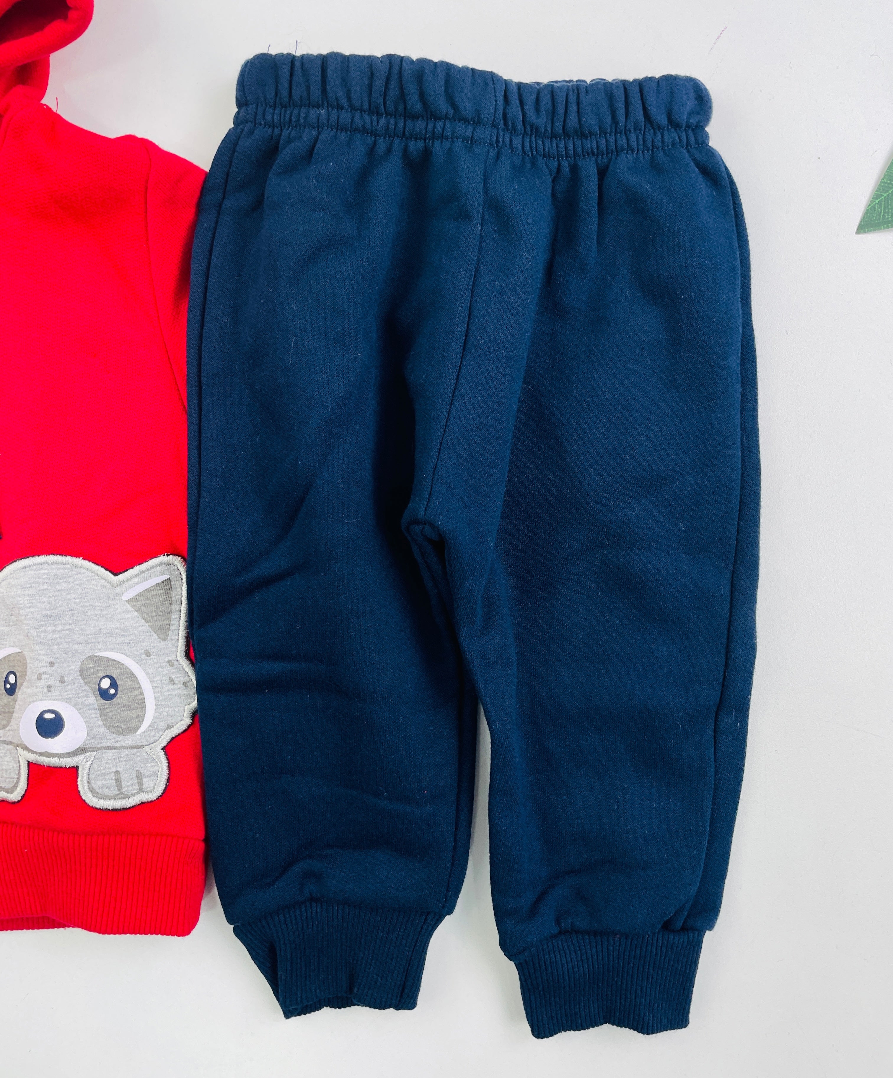 Conjunto Pulla Bulla Raposa Com Capuz