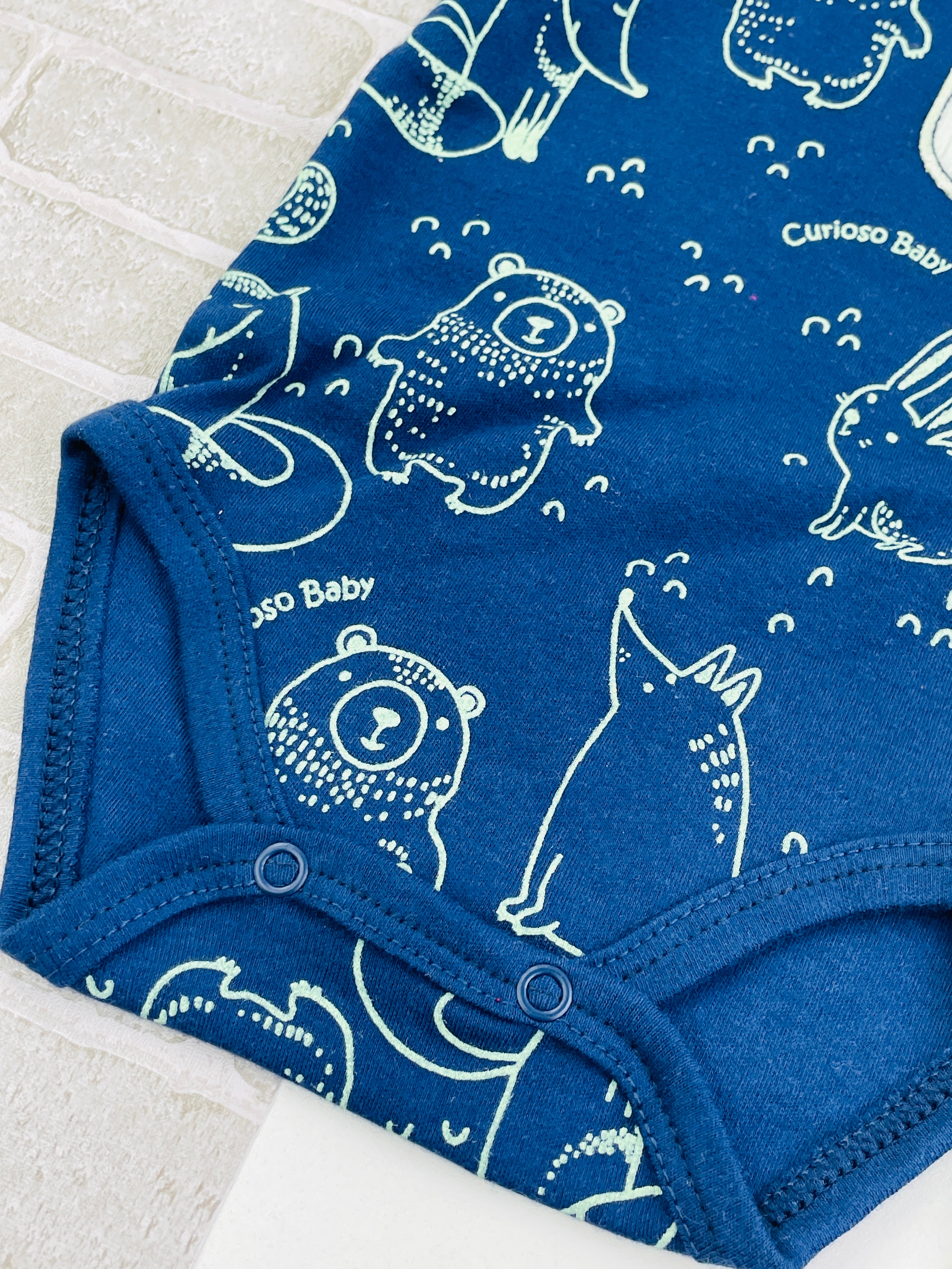 Conjunto Masculino Bichinhos Sued/Plush