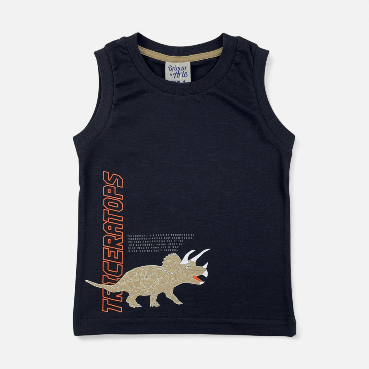 Conjunto Infantil Masculino Brincar e Arte Triceratop
