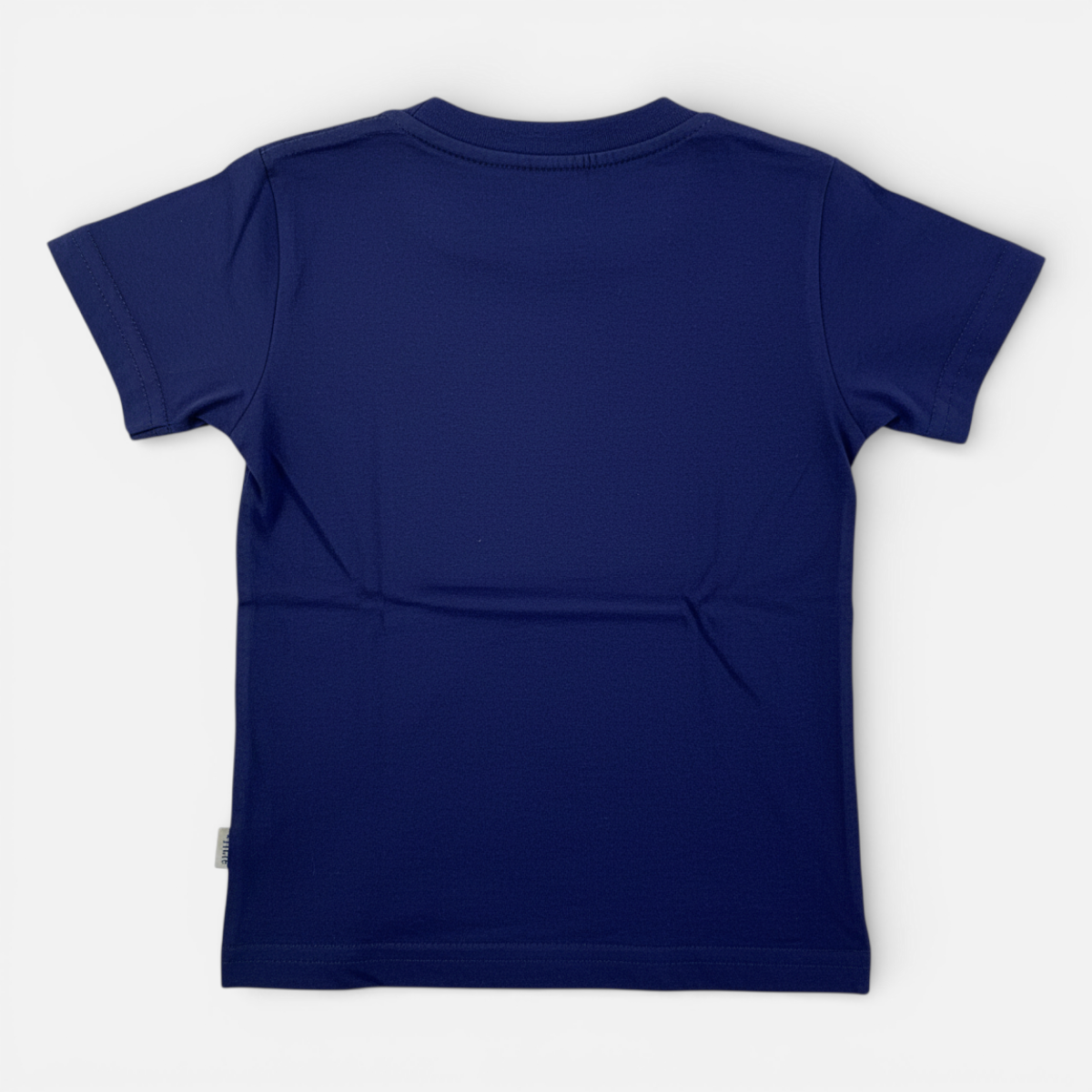 Conjunto Masculino Brincar e Arte Barquinho