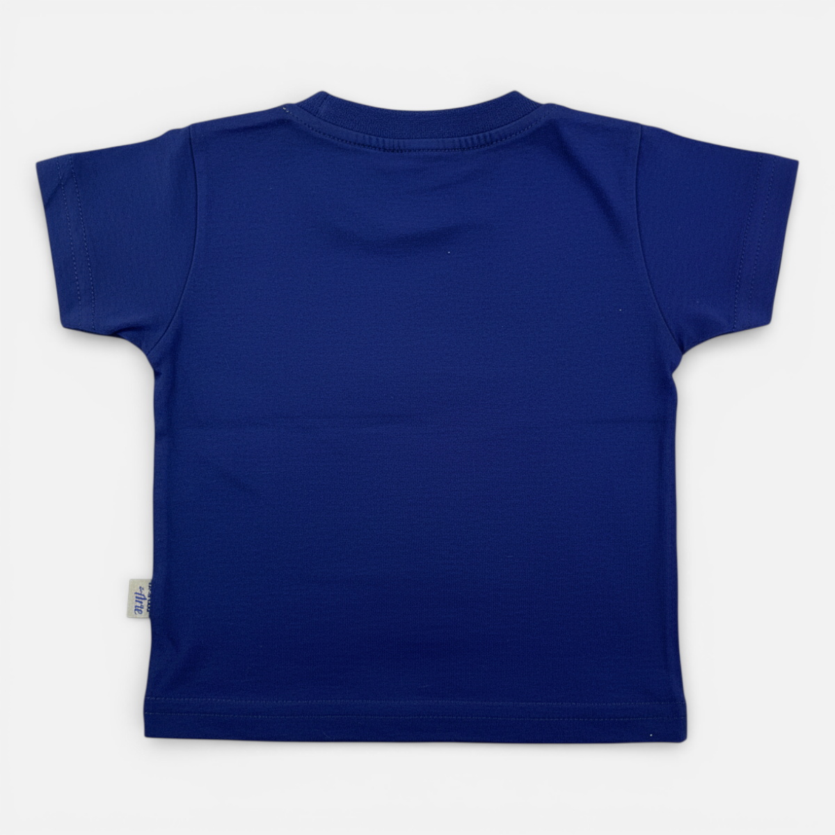 Conjunto Masculino Infantil Brincar e Arte Coqueiro e Barco