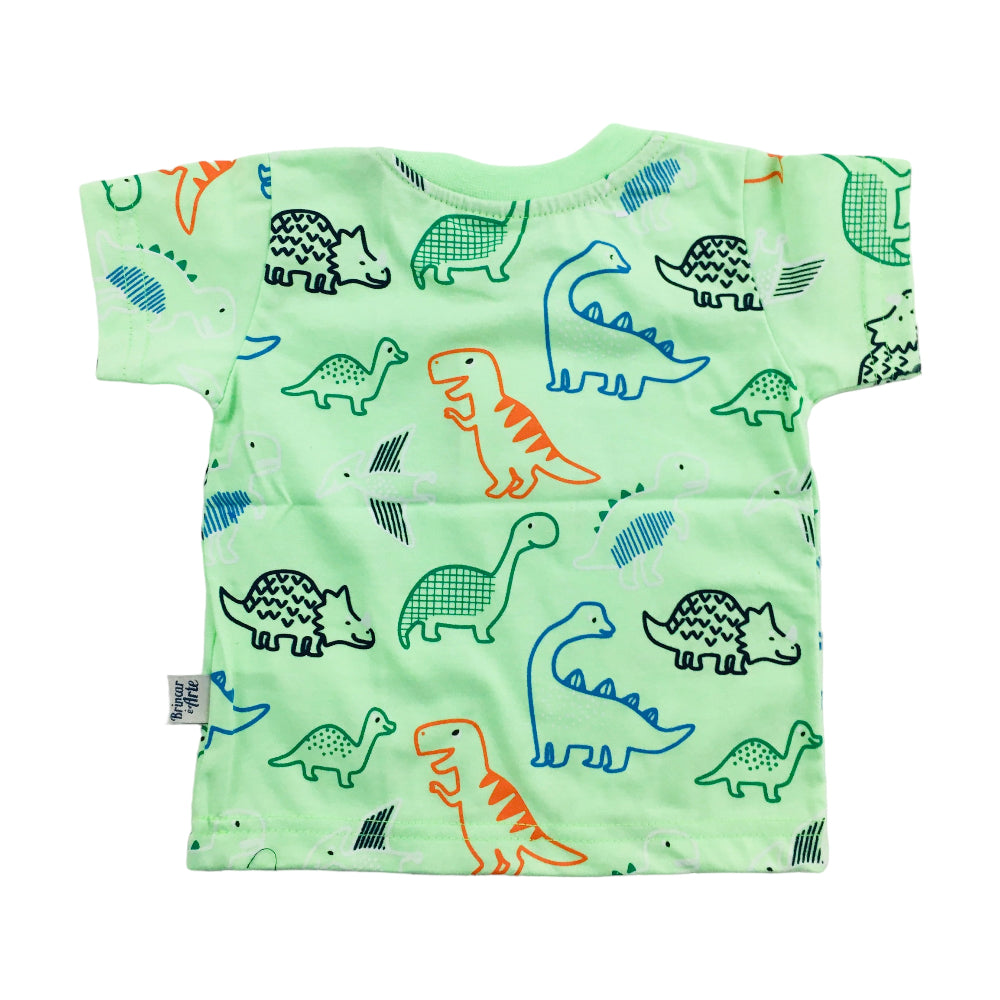 Camiseta Brincar E Arte Dinos Meia Malha