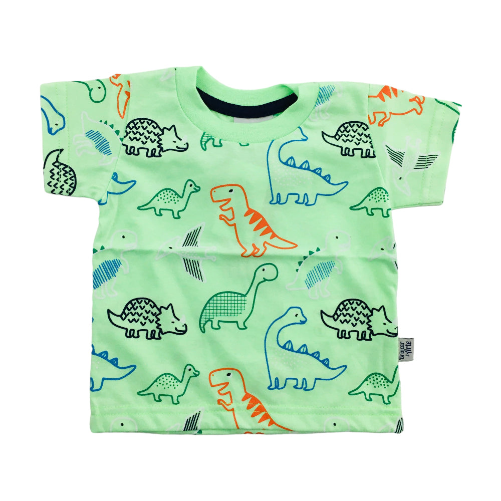 Camiseta Brincar E Arte Dinos Meia Malha