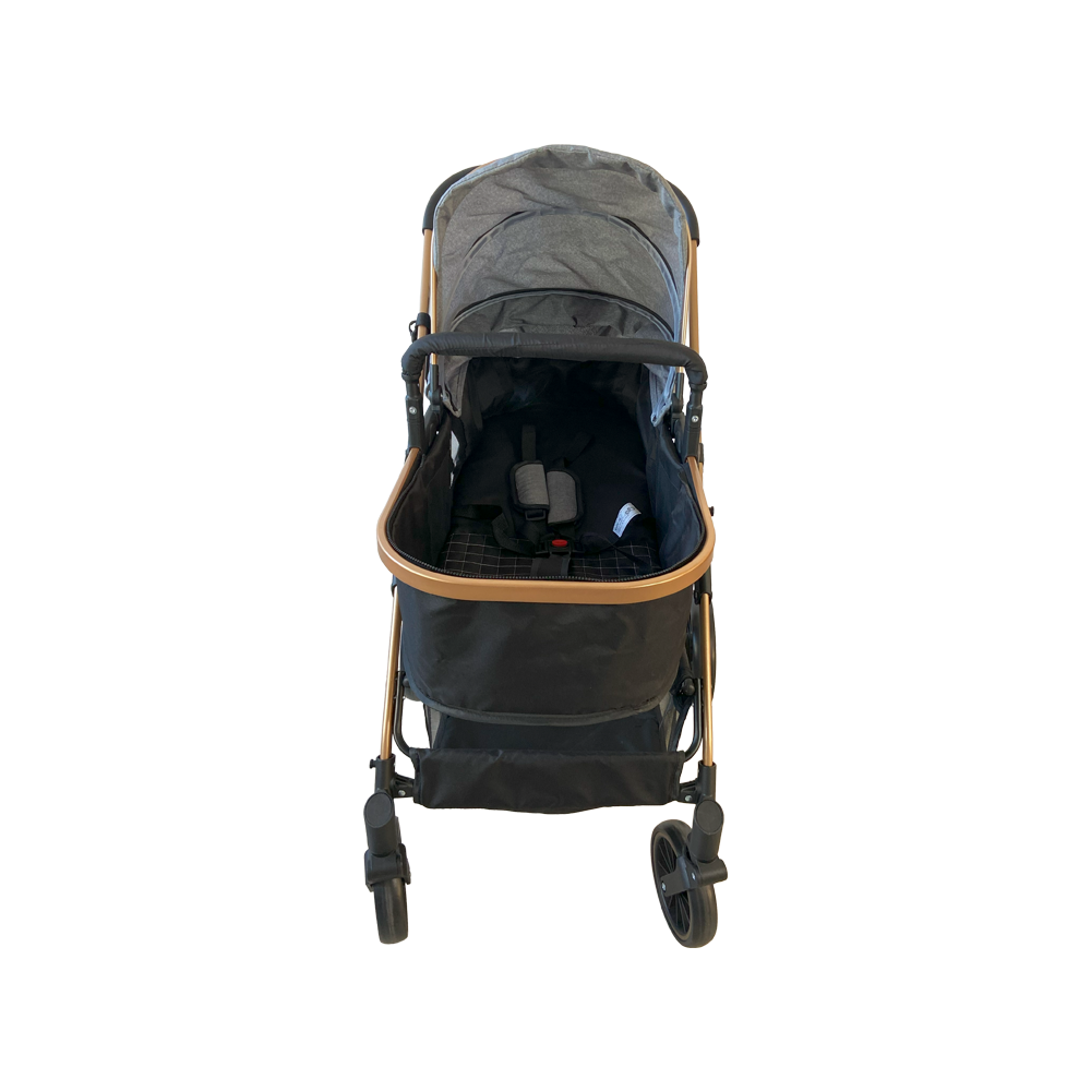 Carrinho de Passeio Infantil Passear Move 3 em 1